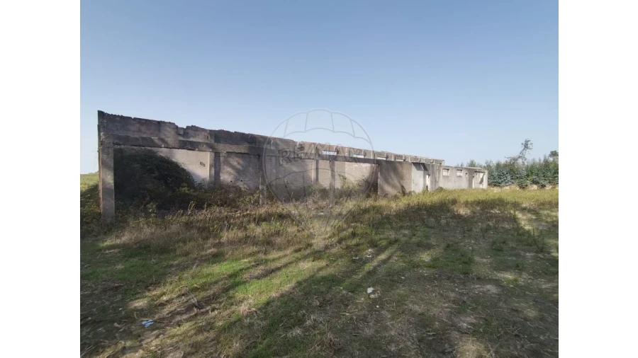 Armazém para Venda em Nossa Senhora do Pópulo, Coto e São Gregório Foto 21