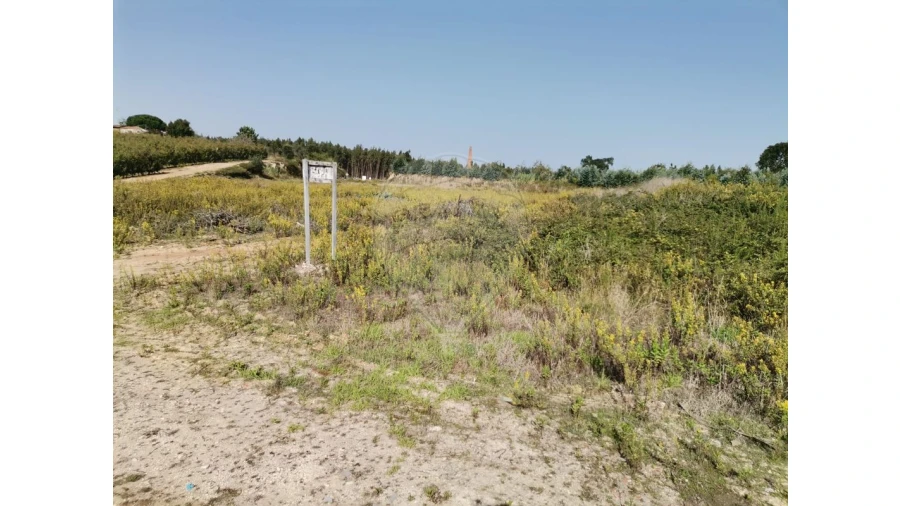 Armazém para Venda em Nossa Senhora do Pópulo, Coto e São Gregório Foto 24