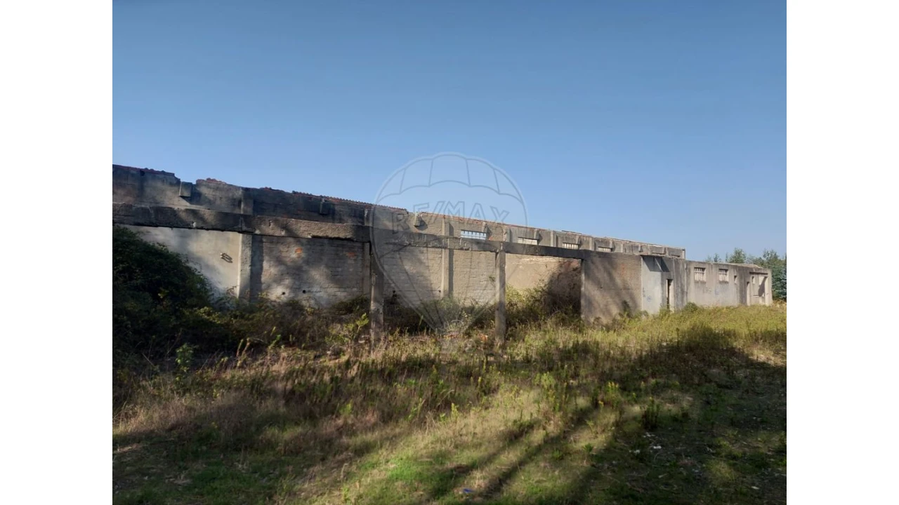 Armazém para Venda em Nossa Senhora do Pópulo, Coto e São Gregório Foto 7
