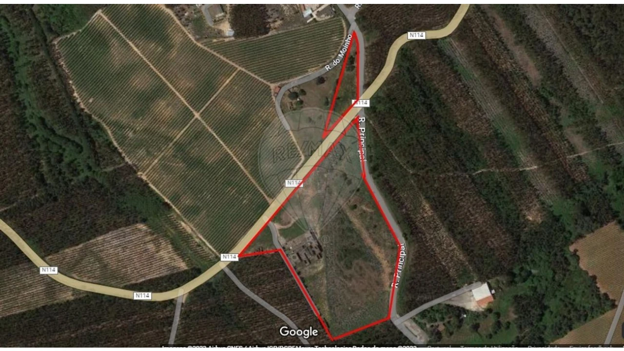 Armazém para Venda em Nossa Senhora do Pópulo, Coto e São Gregório Foto 2