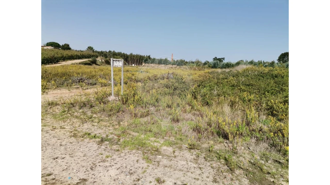 Armazém para Venda em Nossa Senhora do Pópulo, Coto e São Gregório Foto 24