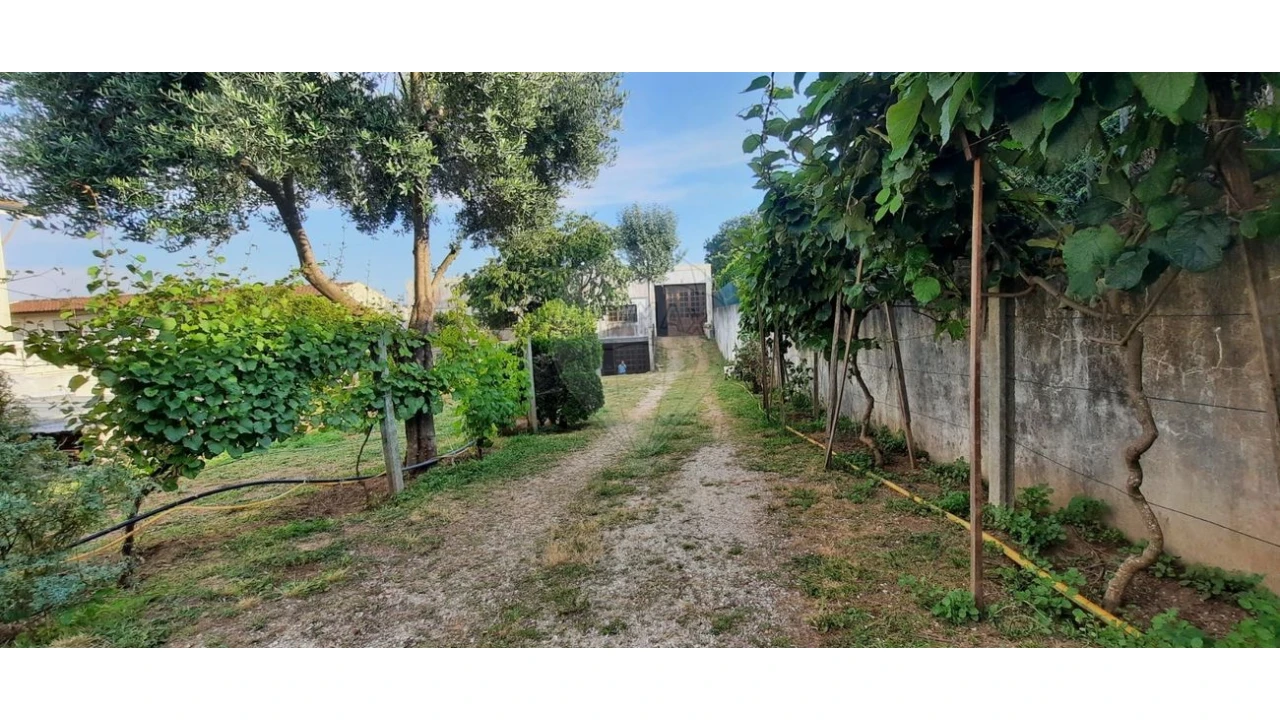 Armazém para Venda em Mozelos Foto 18