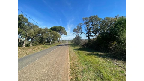 Terreno para Venda em Almoster