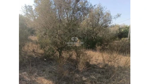 Terreno para Venda em Lagoa e Carvoeiro