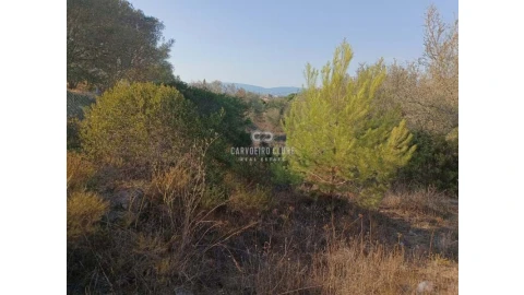 Terreno para Venda em Lagoa e Carvoeiro