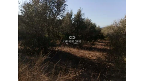 Terreno para Venda em Lagoa e Carvoeiro