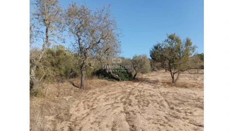 Terreno para Venda em Lagoa e Carvoeiro