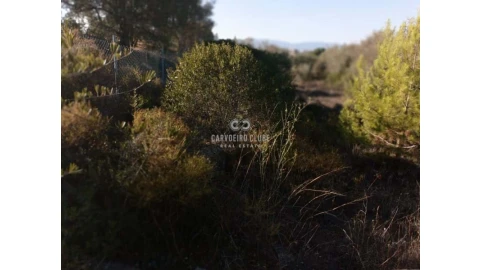 Terreno para Venda em Lagoa e Carvoeiro