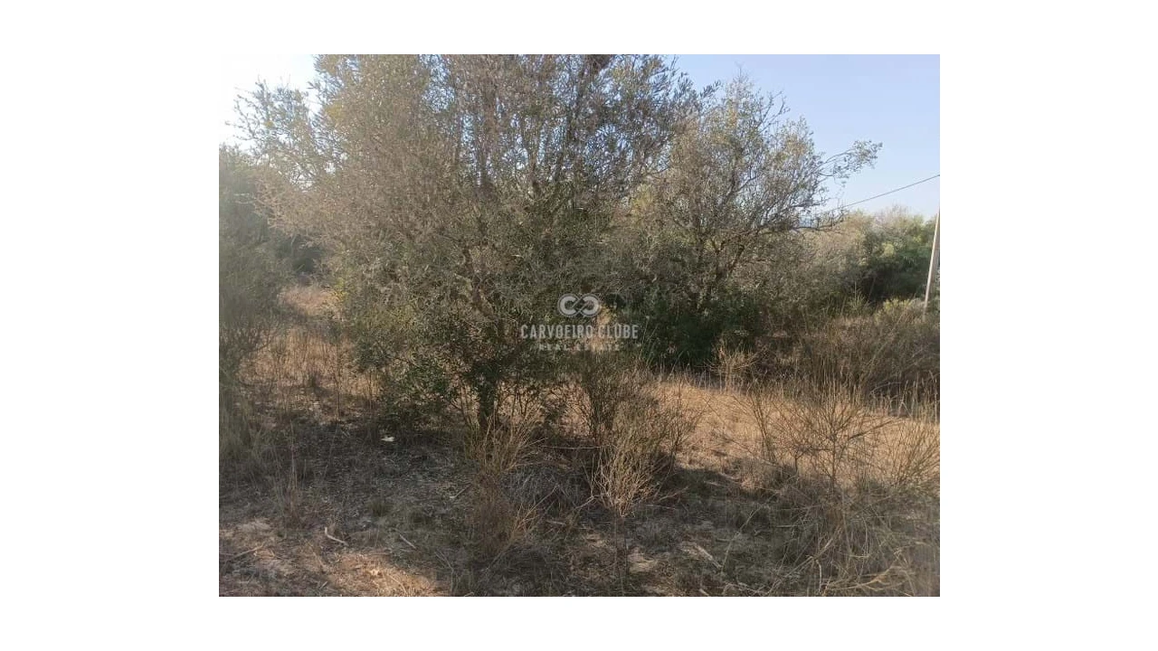 Terreno para Venda em Lagoa e Carvoeiro Foto 9