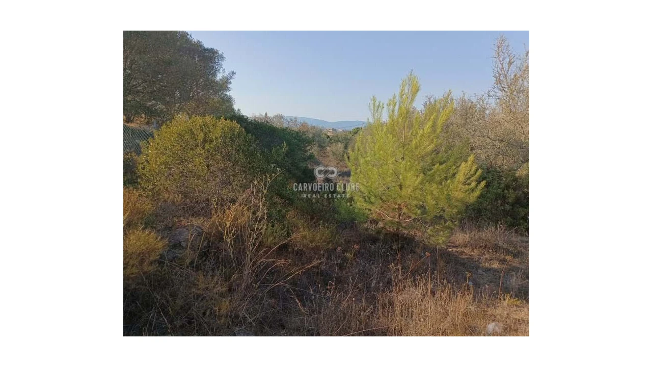 Terreno para Venda em Lagoa e Carvoeiro Foto 2