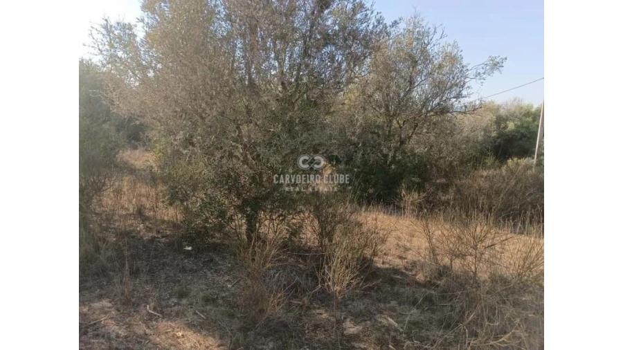 Terreno para Venda em Lagoa e Carvoeiro Foto 9
