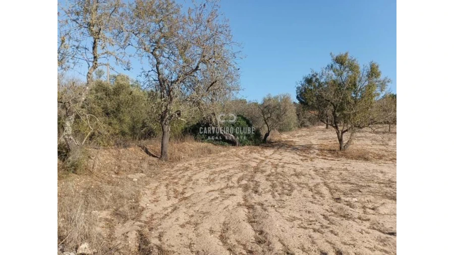 Terreno para Venda em Lagoa e Carvoeiro Foto 12