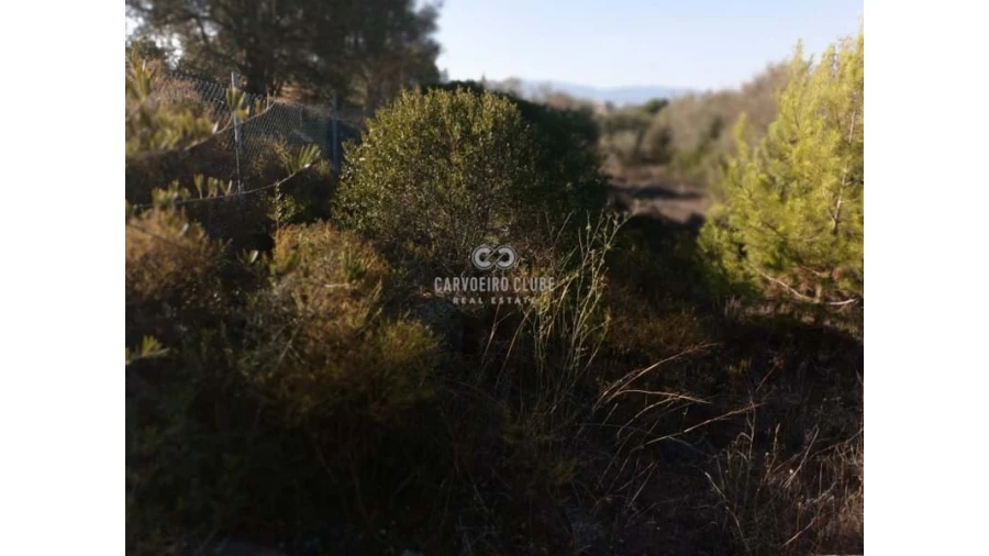 Terreno para Venda em Lagoa e Carvoeiro Foto 7