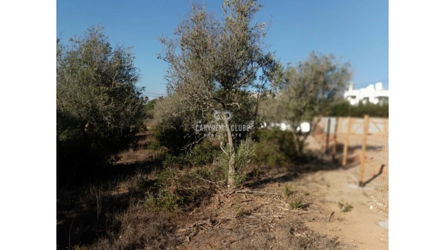 Terreno para Venda em Lagoa e Carvoeiro Foto 6
