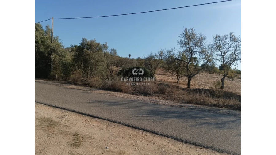Terreno para Venda em Lagoa e Carvoeiro Foto 11