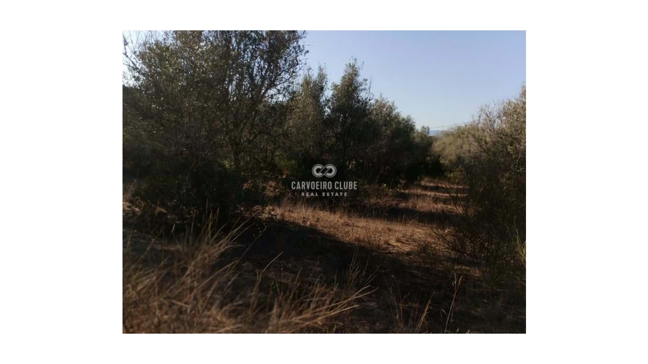 Terreno para Venda em Lagoa e Carvoeiro Foto 15