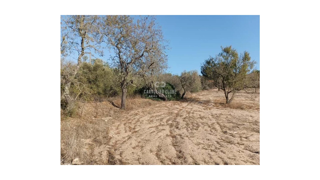 Terreno para Venda em Lagoa e Carvoeiro Foto 12