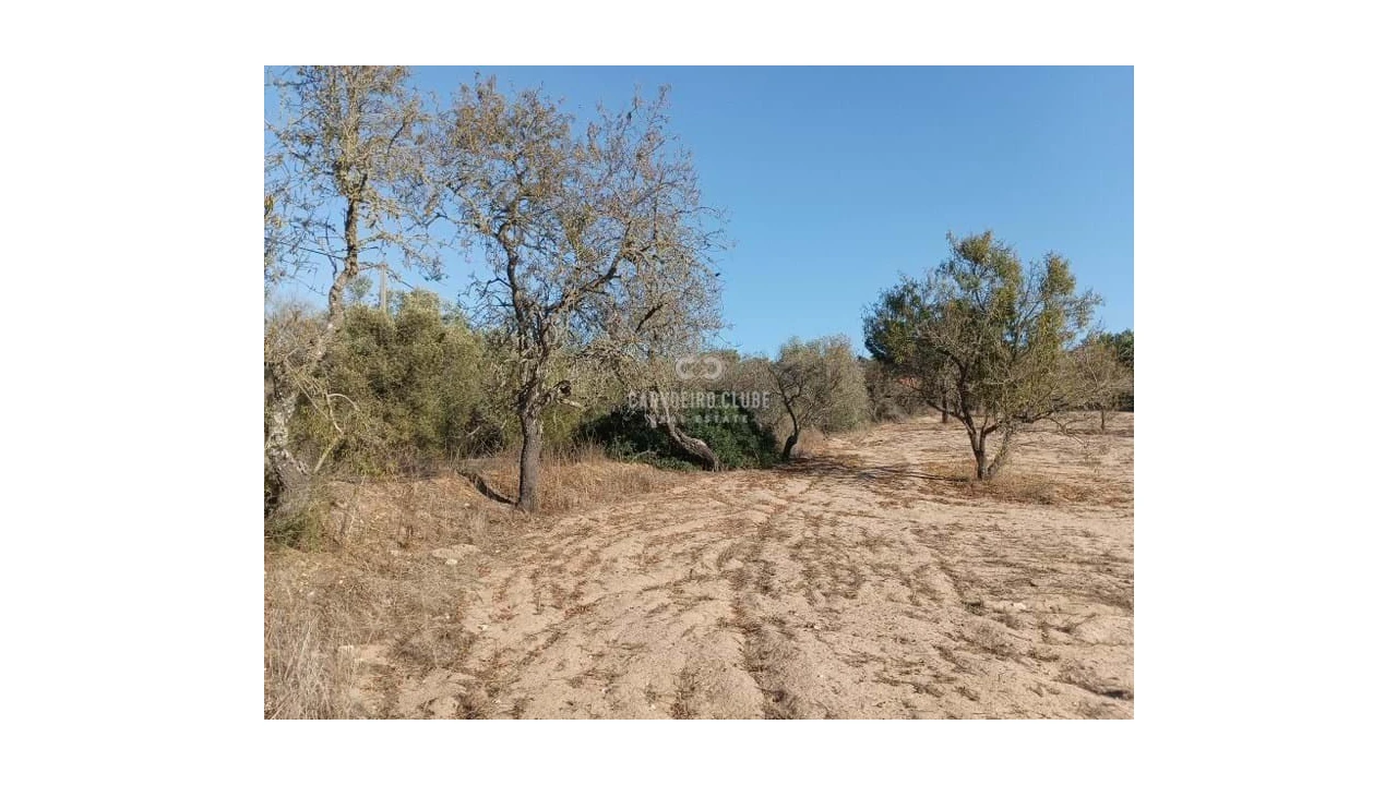 Terreno para Venda em Lagoa e Carvoeiro Foto 13