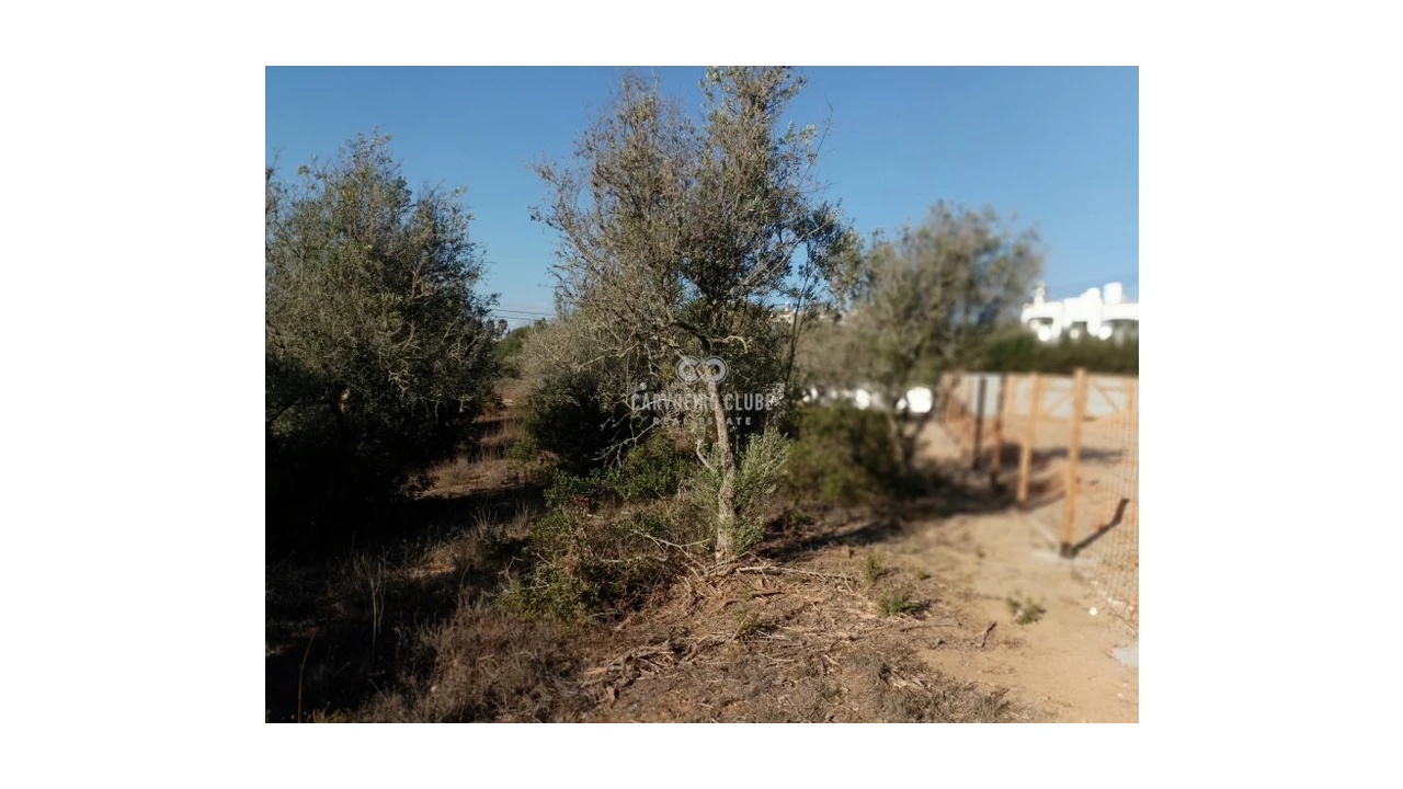 Terreno para Venda em Lagoa e Carvoeiro Foto 6