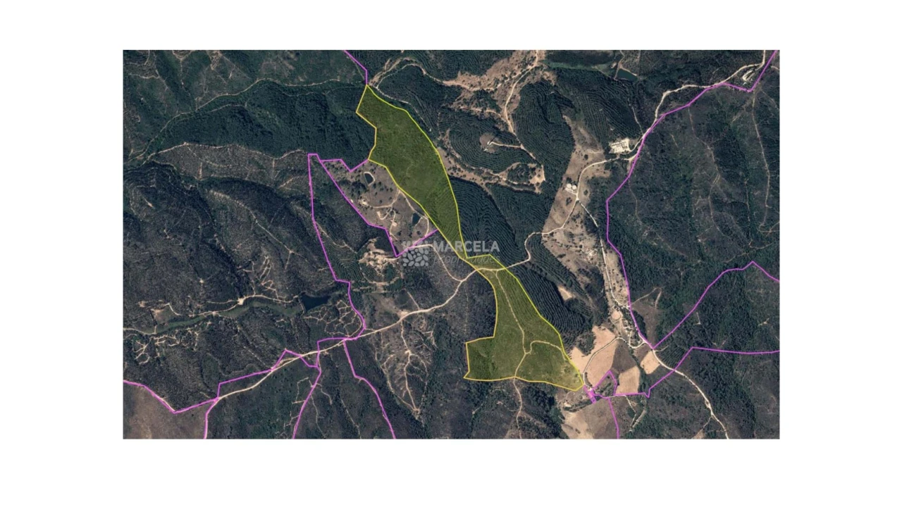 Terreno para Venda em Bordeira Foto 8