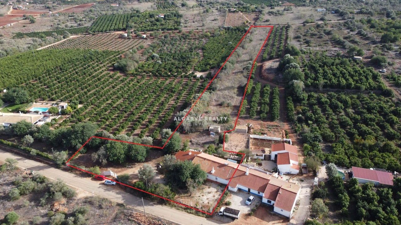 Negócio para Venda em São Silvestre Foto 1