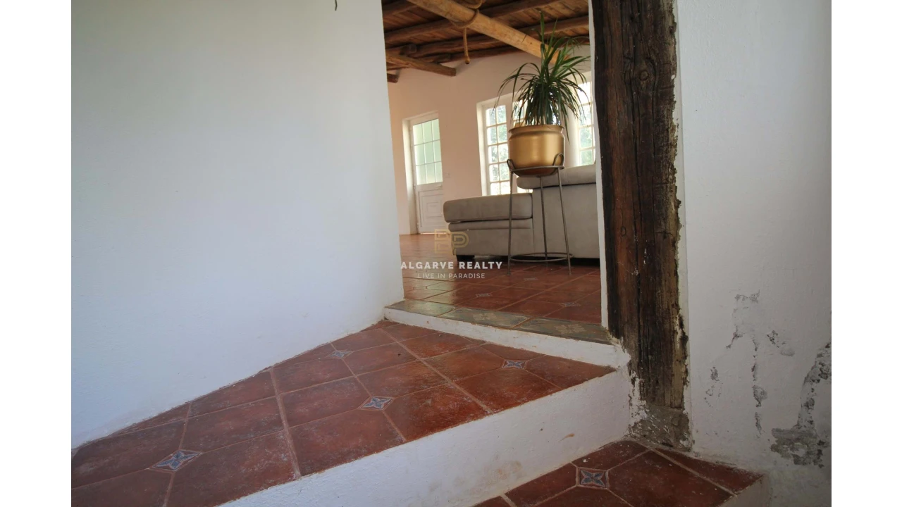 Negócio para Venda em São Silvestre Foto 10