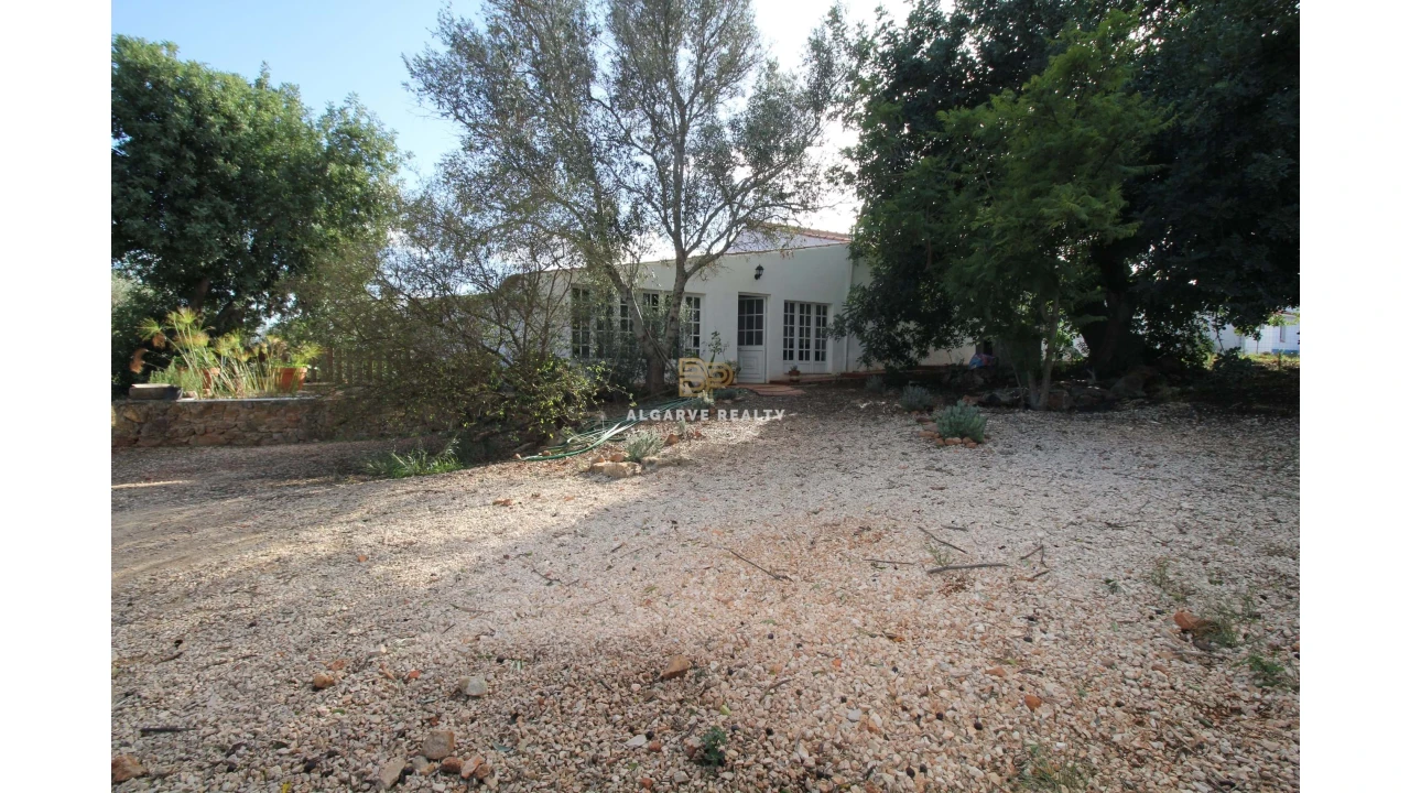 Negócio para Venda em São Silvestre Foto 38