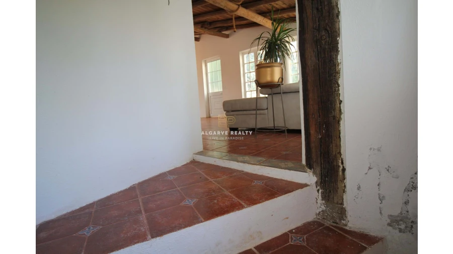 Negócio para Venda em São Silvestre Foto 10