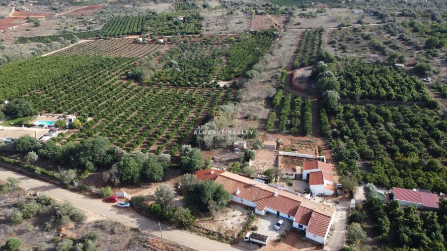 Negócio para Venda em São Silvestre Foto 45