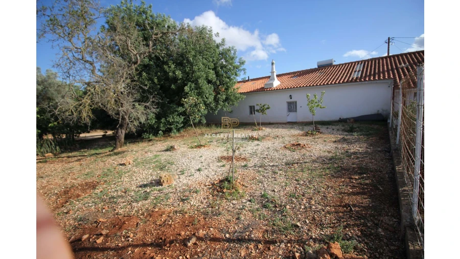 Negócio para Venda em São Silvestre Foto 33