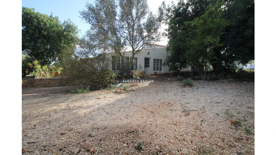 Negócio para Venda em São Silvestre Foto 38