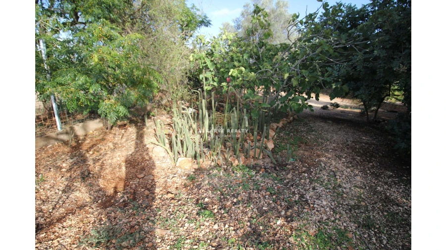 Negócio para Venda em São Silvestre Foto 34