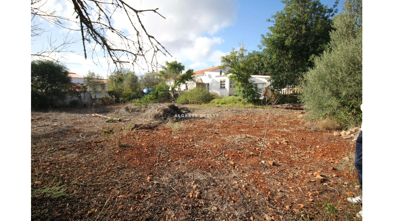 Negócio para Venda em São Silvestre Foto 41