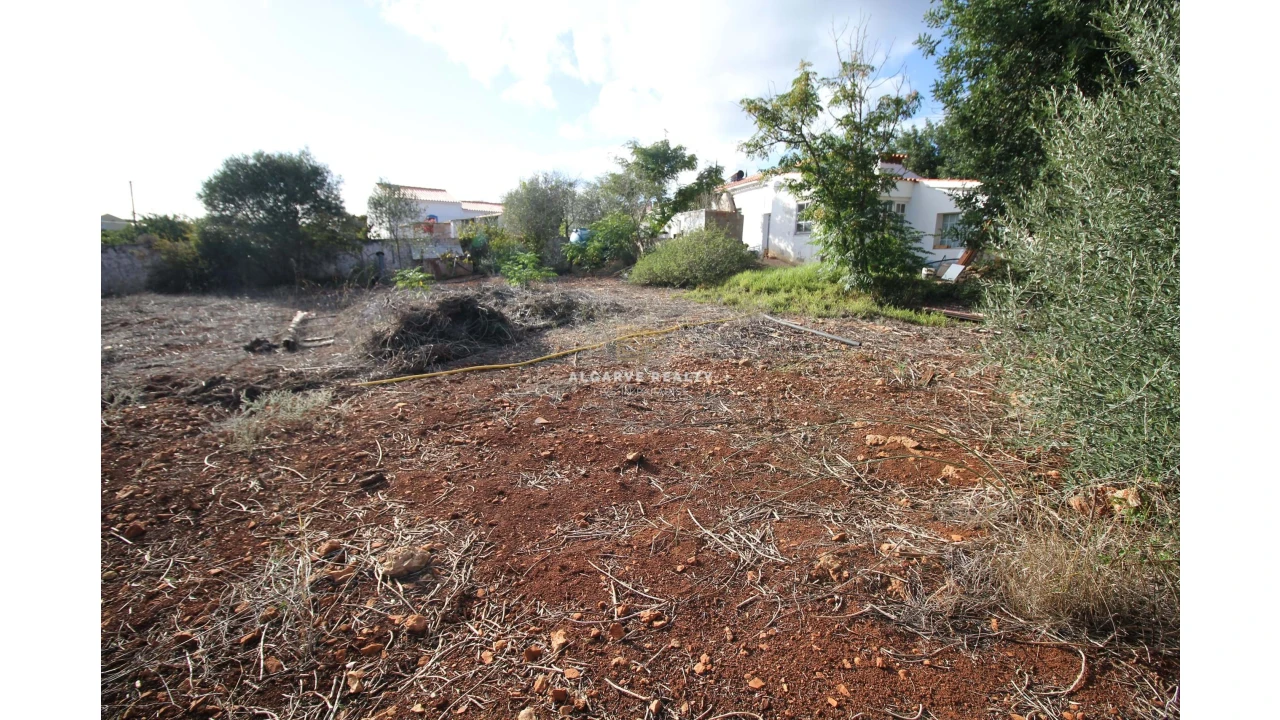 Negócio para Venda em São Silvestre Foto 40