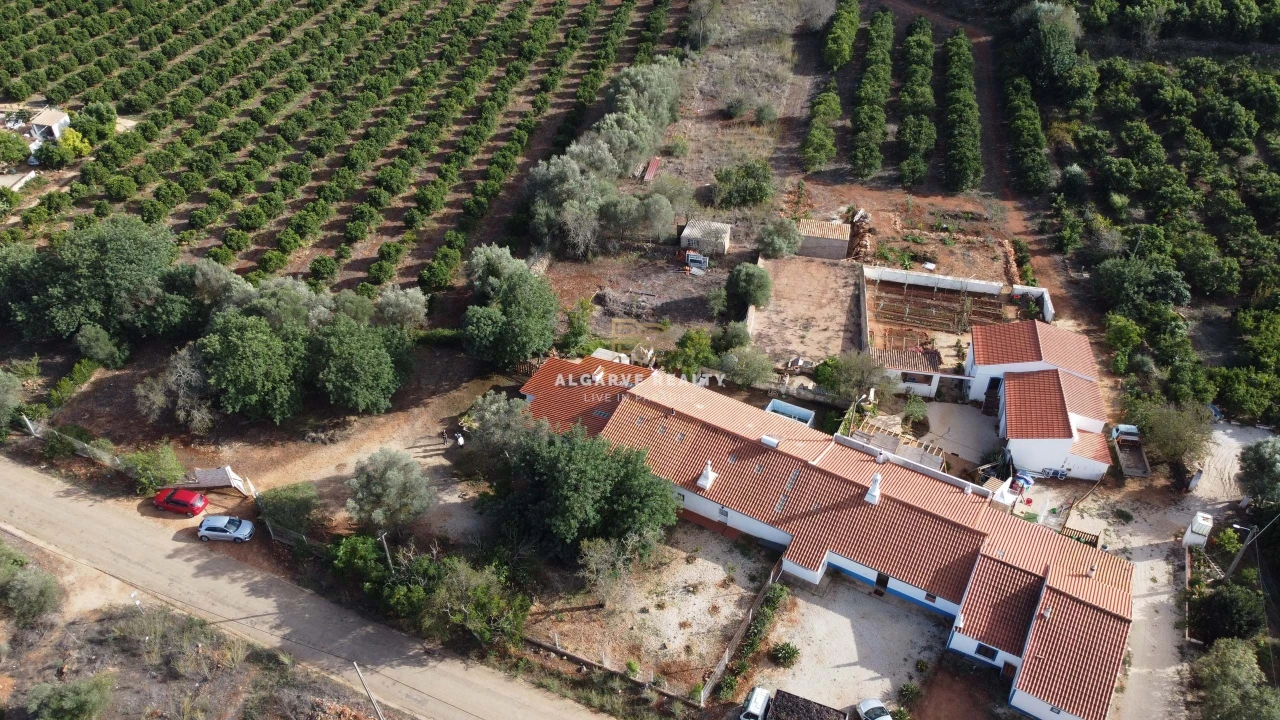 Negócio para Venda em São Silvestre Foto 43