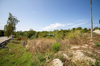Terreno Agricola ou Rústico para Venda em Repeses e São Salvador