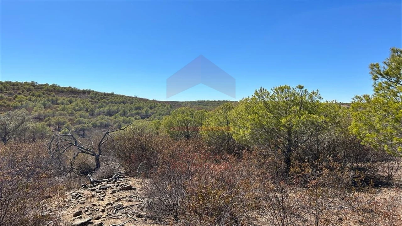 Terreno Agricola ou Rústico para Venda em Alcoutim e Pereiro Foto 2