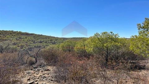 Terreno Agricola ou Rústico para Venda em Alcoutim e Pereiro