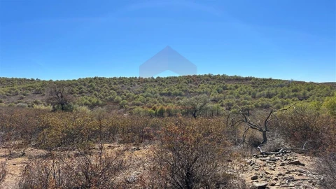 Terreno Agricola ou Rústico para Venda em Alcoutim e Pereiro