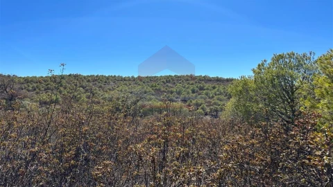 Terreno Agricola ou Rústico para Venda em Alcoutim e Pereiro