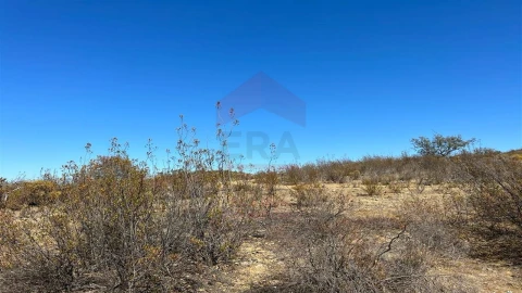 Terreno Agricola ou Rústico para Venda em Alcoutim e Pereiro