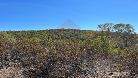 Terreno Agricola ou Rústico para Venda em Alcoutim e Pereiro
