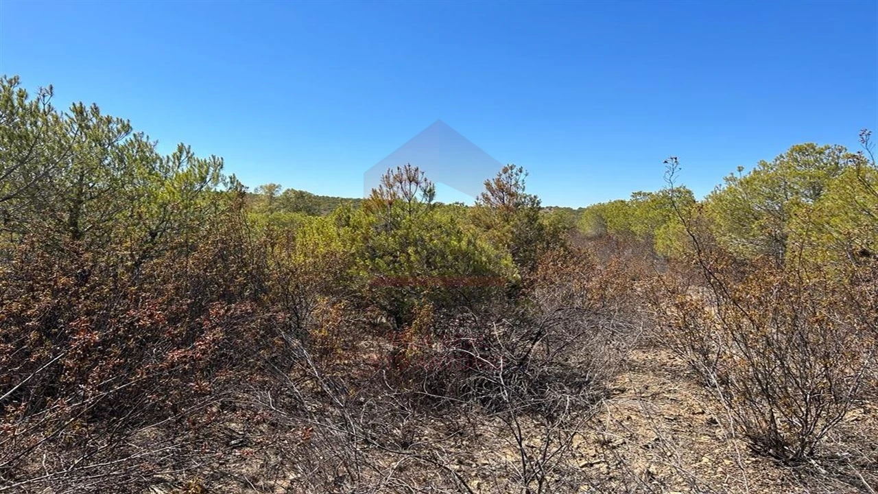 Terreno Agricola ou Rústico para Venda em Alcoutim e Pereiro Foto 4