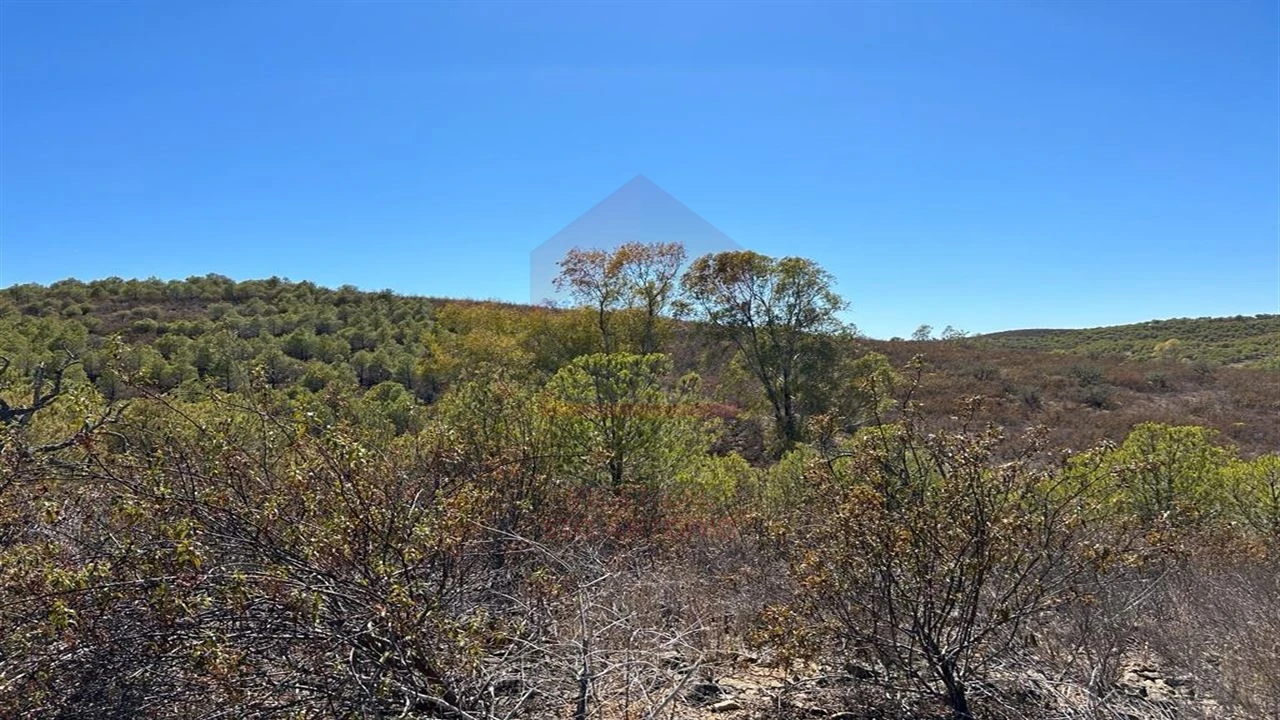 Terreno Agricola ou Rústico para Venda em Alcoutim e Pereiro Foto 8