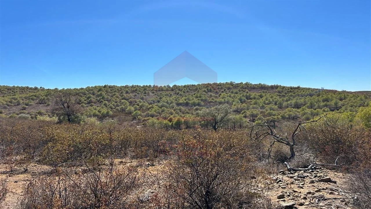 Terreno Agricola ou Rústico para Venda em Alcoutim e Pereiro Foto 1