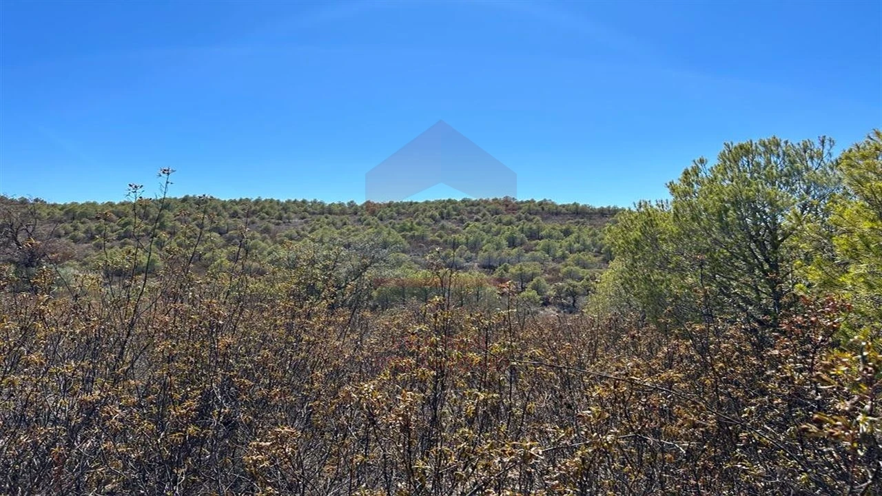 Terreno Agricola ou Rústico para Venda em Alcoutim e Pereiro Foto 3