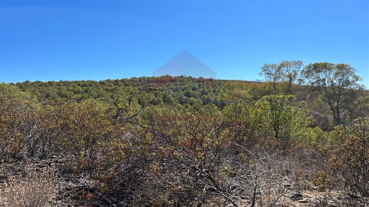 Terreno Agricola ou Rústico para Venda em Alcoutim e Pereiro Foto 7