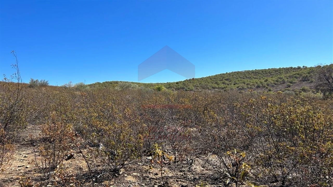 Terreno Agricola ou Rústico para Venda em Alcoutim e Pereiro Foto 5