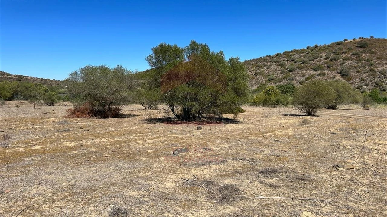 Terreno Agricola ou Rústico para Venda em Alcoutim e Pereiro Foto 3