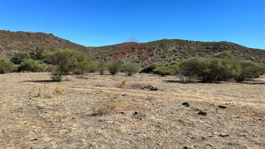 Terreno Agricola ou Rústico para Venda em Alcoutim e Pereiro Foto 5